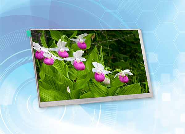 高清lcd顯示屏有哪些特點(diǎn)？價格貴不貴？