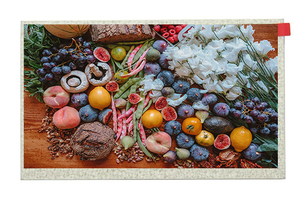 醫療液晶顯示屏