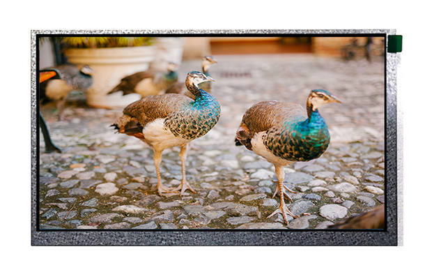 10.1寸高清普清電阻觸摸顯示屏 10.1寸高清普清電阻觸摸顯示屏