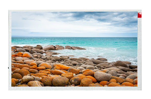 液晶顯示器(LCD) 液晶顯示器(LCD)