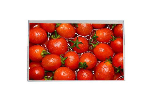 8 寸液晶顯示屏的價(jià)值與趨勢(shì)：從核心參數(shù)到行業(yè)應(yīng)用的全面解析