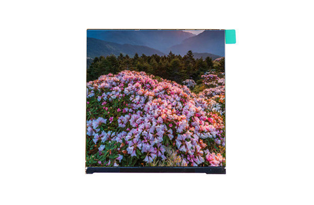 3.95寸480*480 IPS方屏：規格、性能與應用領域詳解